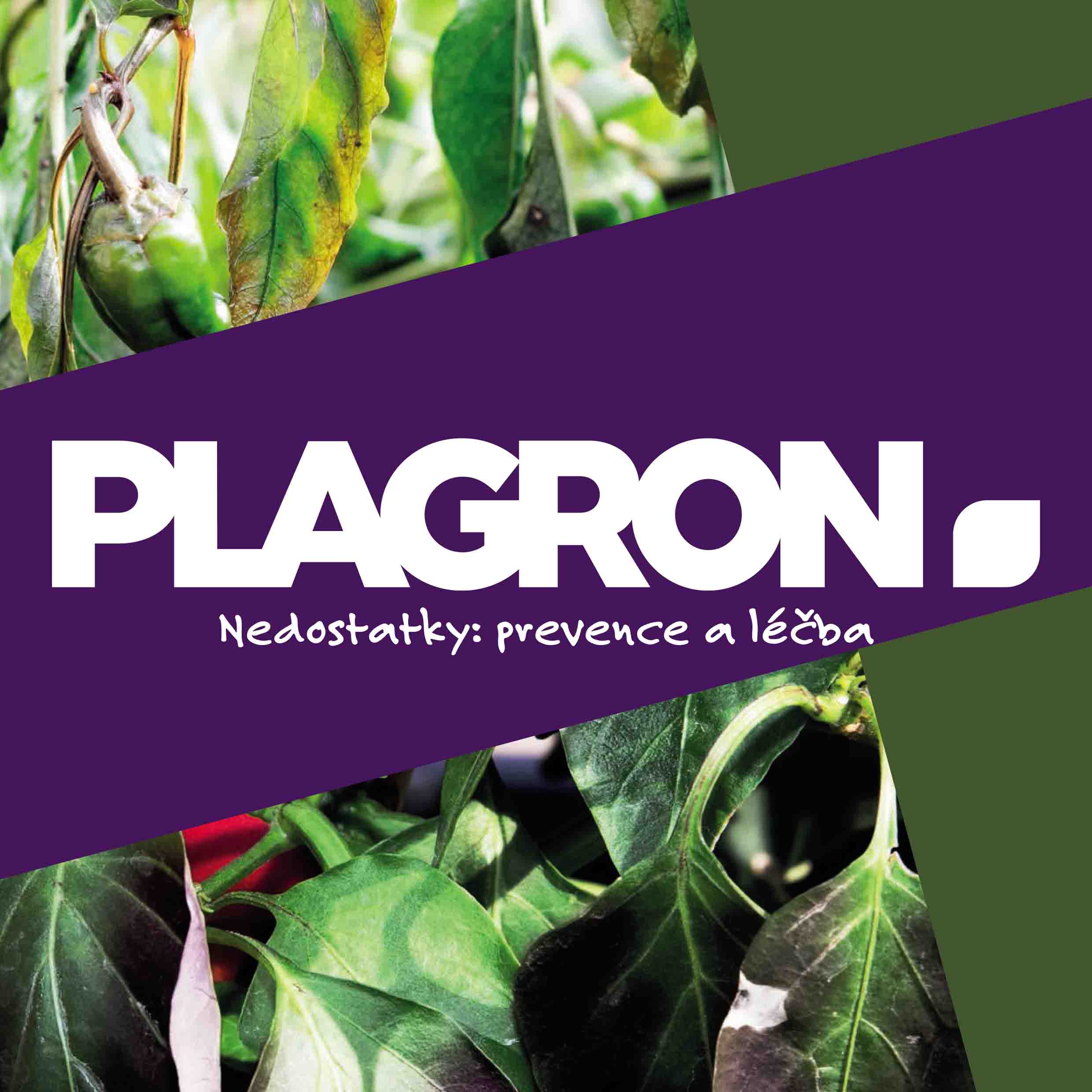 plagron 01